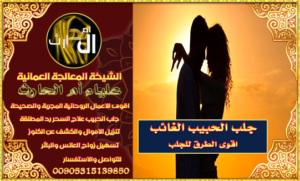 جلب الحبيب 