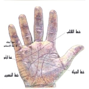 قراءة الكف 
