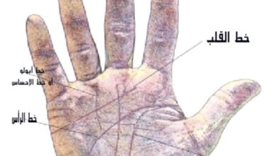 قراءة الكف